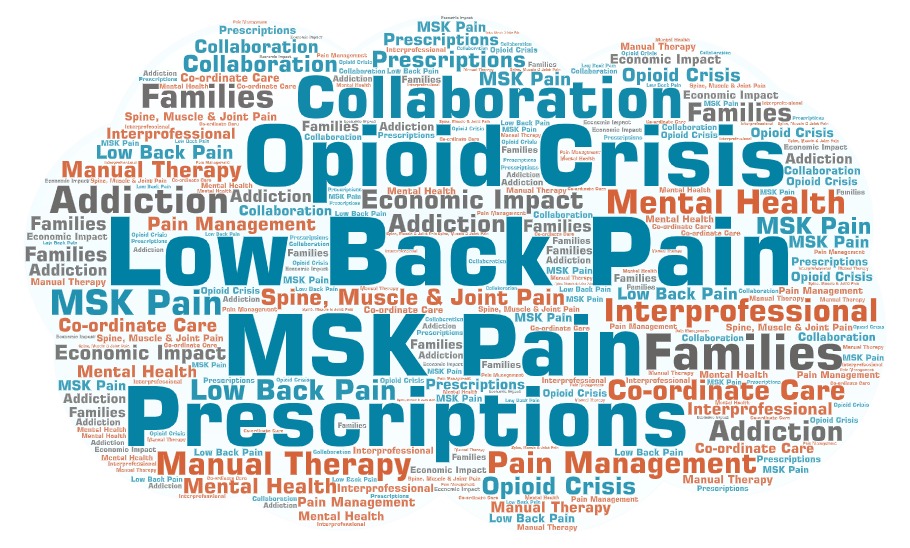 Word cloud of keywords related to spine. muscle and joint pain and the opioid crisis, including: Spine, Muscle & Joint Pain, MSK Pain, Low Back Pain, Manual Therapy, Addiction, Pain Management, Mental Health, Prescriptions, Co-ordinate Care, Collaboration, Interprofessional, Families, Economic Impact
